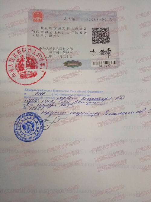 俄罗斯 双认证1